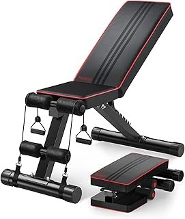 YOLEO Folding Weight Bench Multifunctional Training Fitness Bench Abdominal Trainer Slanted Bench with 6-Way Adjustable Backrest/3-Way Adjustable Seat Cushion, Load 250 kg, Sit Up Bench